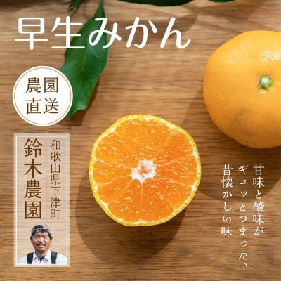 【和歌山・下津町産 早生みかん 5kg(S、M、Lサイズお任せ)】旬を産地直送!農家おまかせの新鮮み