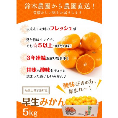 【和歌山・下津町産 早生みかん 5kg(S、M、Lサイズお任せ)】旬を産地直送!農家おまかせの新鮮み