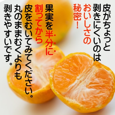 【みかん 2S・3Sサイズ】和歌山県下津町産 小粒みかん 3kg(極早生 ゆら早生みかん)