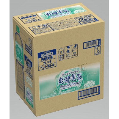 コカ・コーラの爽健美茶　2L×6本【1ケース】