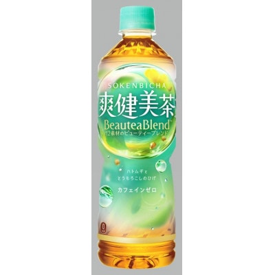 コカ・コーラの爽健美茶　600ml×24本　【1ケース】