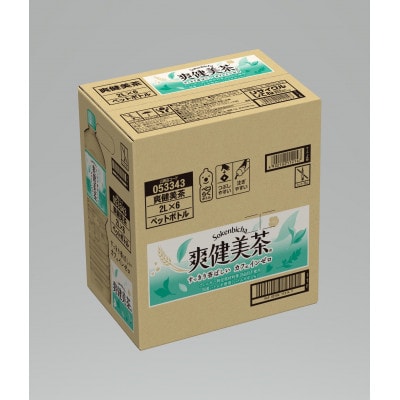 コカ・コーラの爽健美茶　2L×6本×2ケース