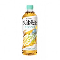 コカ・コーラの爽健美茶　600ml×24本×2ケース(合計48本)