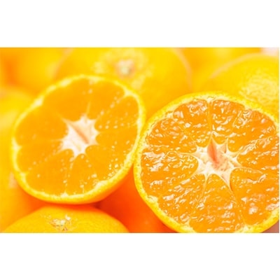 しもつ町特産蔵出しみかん　家庭用5kgサイズ　サイズ混合(SS～LL)　【海南市下津町　農園直送】