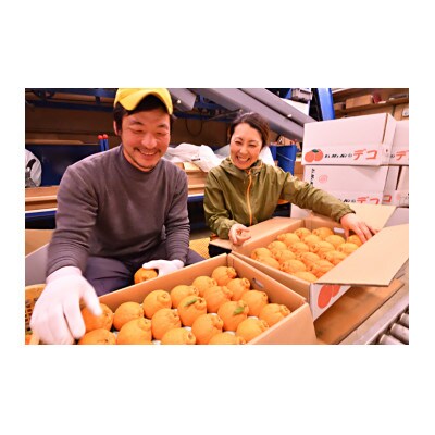 和歌山の完熟しもつデコ8玉～12玉　3kg　秀品　【和歌山県 海南市 農園直送】