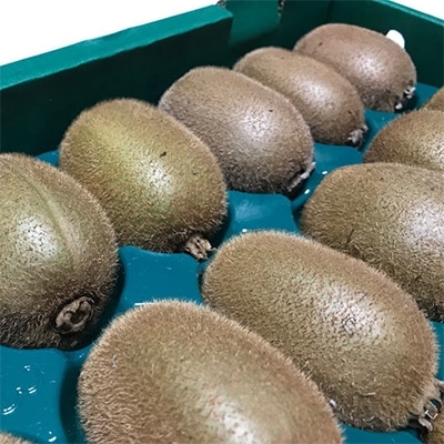 【大人気】厳選 キウイフルーツ(秀品) 約3.6kg