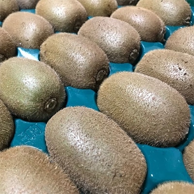 【大人気】厳選 キウイフルーツ(秀品) 約3.6kg