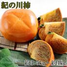 【希少】紀の川柿(たねなし)約3.5～4kg・秀品(海南市)