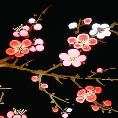 紀州漆器 漆芸 板蓋手許文庫 黒 香林(A4判)