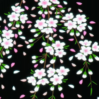 紀州漆器 漆芸 巾広文庫 黒 さくら桜
