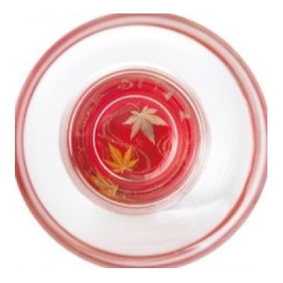 紀州漆器 ぬりもん de Verre 盃 蒔絵 赤 紅葉 1個