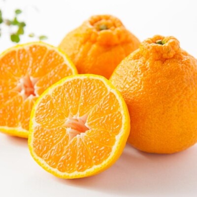【お味濃厚】紀州有田産の大玉デコポン約5kg(12玉~15玉入り)