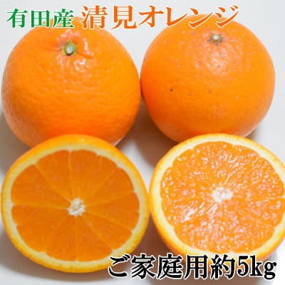 【濃厚】有田産清見オレンジ約5kg(M～3Lサイズおまかせ)ご家庭用(海南市)