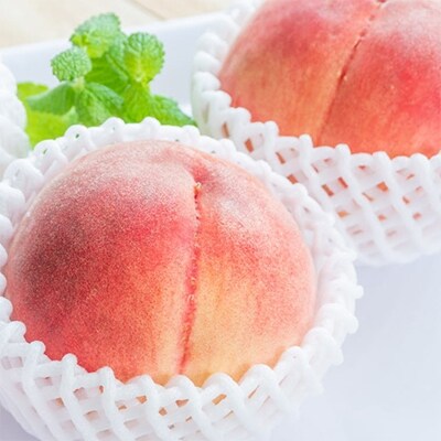 【産直・人気の特産品】和歌山の桃 約4kg・秀品【2023年度発送分】(海南市)