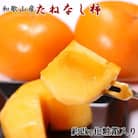 【秋の味覚】和歌山産たねなし柿約2kg  化粧箱入り(2L～4Lサイズ)(海南市)