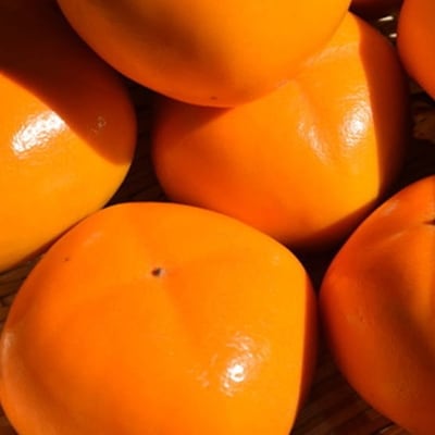 【秋の味覚】和歌山産たねなし柿約2kg  化粧箱入り(2L～4Lサイズ)(海南市)