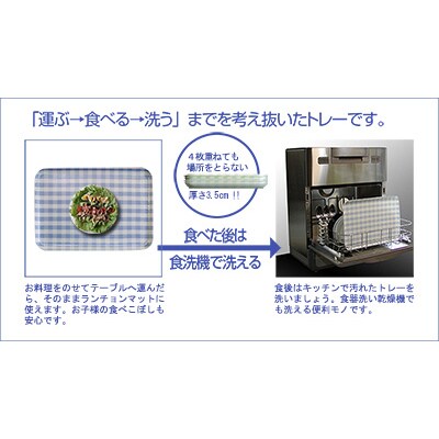 和歌山県海南市 SRトレー M 33cm グローヴ 2枚組 家庭用電子レンジと食洗機対応のトレー