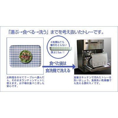 和歌山県海南市 SRトレー L 39cm フフラ ブルー 2枚組 家庭用電子レンジと食洗機対応トレー
