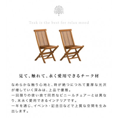 チークチェア2脚組折りたたみ式 AKU1008203