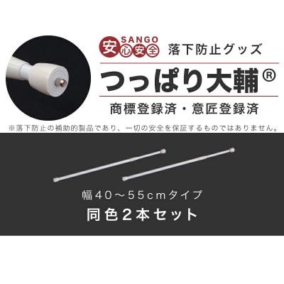 つっぱり大輔 40cm～55cm ホワイト 2本セット byt101171691