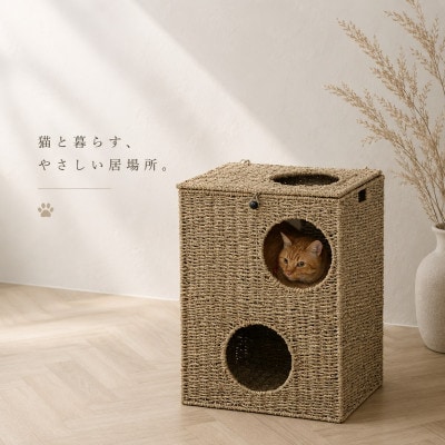 【キャットプレイハウス】猫の遊び場 AKU1006731
