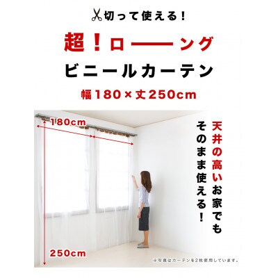 ビニールカーテン ロング ブルー 幅180cm×長さ250cm BYT100902603