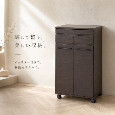 スライド棚付きダストボックス2D ブラウン AKU104405102