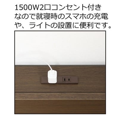 フロアベッド コンセント付き 長さ215×幅104×高さ29cm AKU1021093