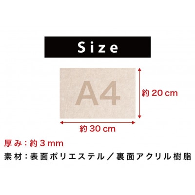 窓ガラス断熱シート W30×H20 10枚入　ベージュ　SNG102213211
