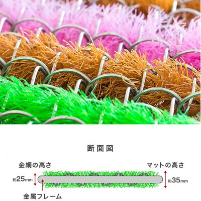 玄関マット 泥 雪 落とし 45×75cm グリーン SNG104503402