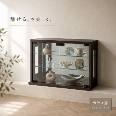 卓上コレクションケース 横型 ダークブラウン AKU100661302
