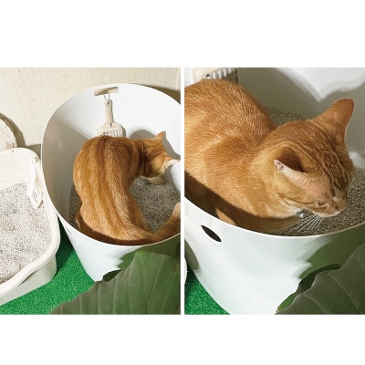 人工芝タイプの猫砂マット 92×70 BDK1013151