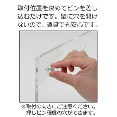 アクリリック ウォールシェルフ W60浅型(2個組)  AKU1023205