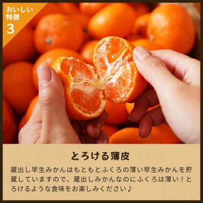 蔵出しみかん早生|和歌山県海南市下津町の特産品蔵出しみかんの早生品種を産地直送でお届け