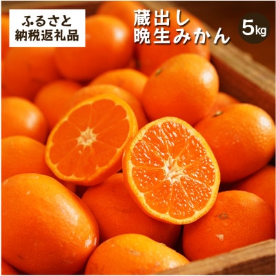 蔵出しみかん晩生 |和歌山県海南市下津町の特産品の蔵出しみかんの晩生品種を産地直送でお届け