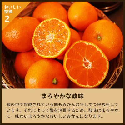 蔵出しみかん晩生 |和歌山県海南市下津町の特産品の蔵出しみかんの晩生品種を産地直送でお届け