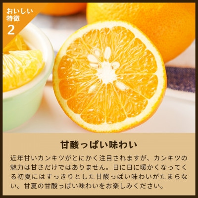 甘夏|和歌山県海南市下津町産。樹上完熟させた甘夏を農園から産地直送でお届け