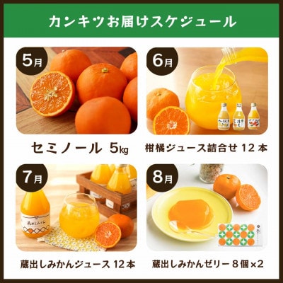【発送月固定定期便】みかんのサブスク 頒布会|旬のカンキツを産地直送で毎月お届け全12回