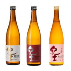 紀土　純米・純米吟醸・純米大吟醸酒　720ml　3本セット