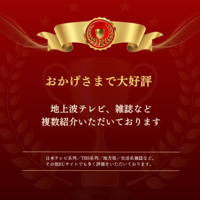 【山本勝之助商店】7玉 長柄 皮巻き 棕櫚ほうき