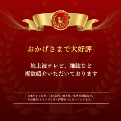【山本勝之助商店】9玉 長柄 皮巻き 棕櫚ほうき