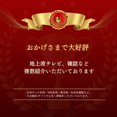 【山本勝之助商店】5玉 手箒95cm 皮巻き 棕櫚ほうき