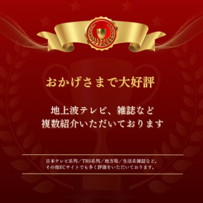 【山本勝之助商店】6玉 手箒 皮巻き 棕櫚ほうき