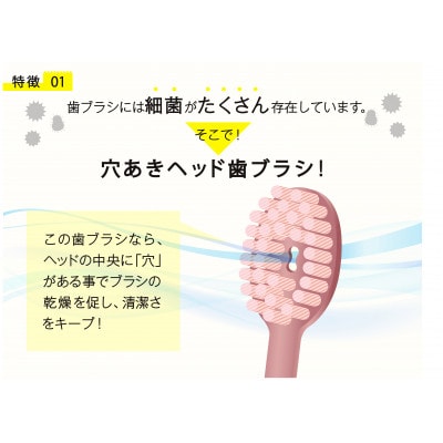【和歌山県海南市で製造】奥歯のウラまでしっかり磨ける穴の開いた歯ブラシ　12本組