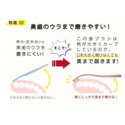 【和歌山県海南市で製造】奥歯のウラまでしっかり磨ける穴の開いた歯ブラシ　12本組