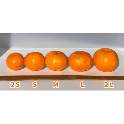 【樹上完熟】しもつうまれ　早生みかん　5kg箱