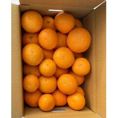 しもつうまれ　清見オレンジ　家庭用　4.5kg(箱込み5kg)