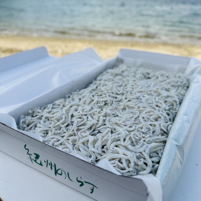 釜揚げしらす　700g