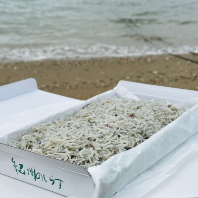 上干ちりめん