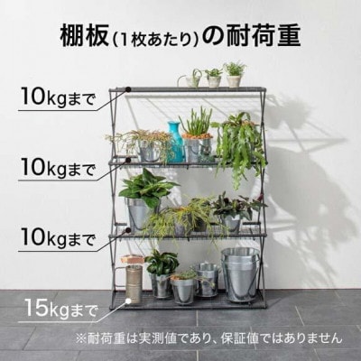 パンタグラックハウス L　54106500